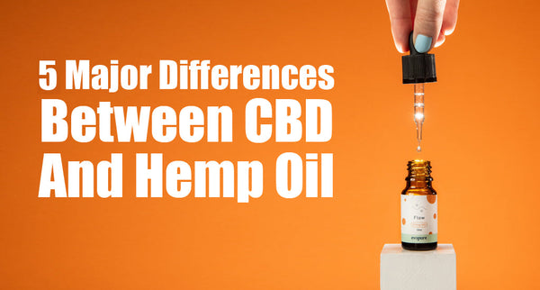 Major Differences Between CBD Oil and Hemp Oil