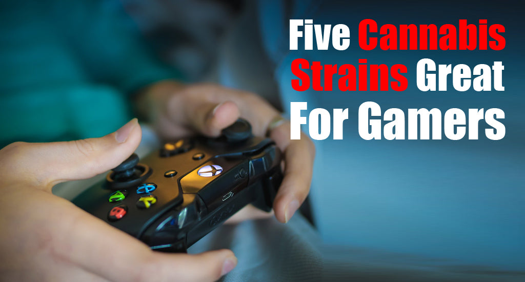 Five Cannabis Strains Great For Gamers