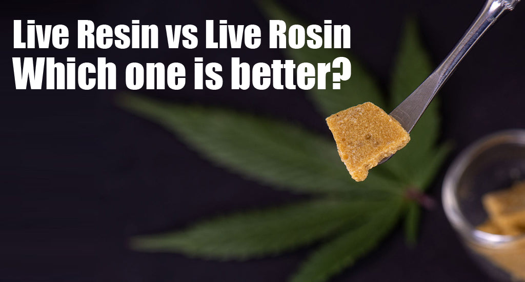 Live Resin vs Live Rosin – Which one is better