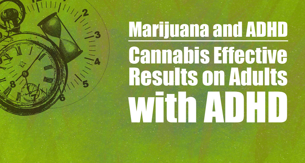Marijuana and ADHD Cannabis Effective Results on Adults with ADHD
