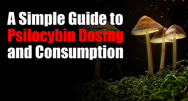 A Simple Guide to Psilocybin Dosing and Consumption