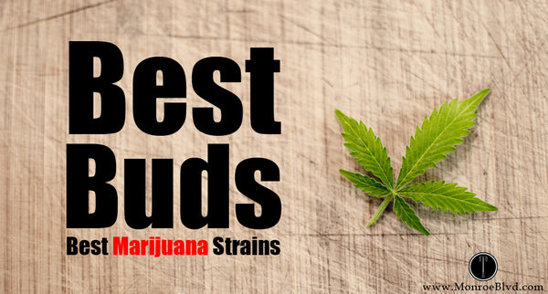 Best Marijuana Strains of all time - Blue Dream is still on the top of the list!