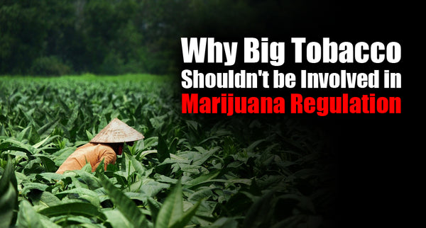 Why Big Tobacco Shouldn't be Involved in Marijuana Regulation
