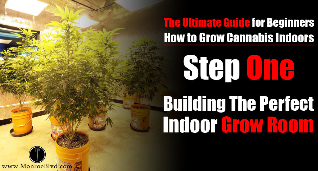 build-the-perfect-indoor-grow-room