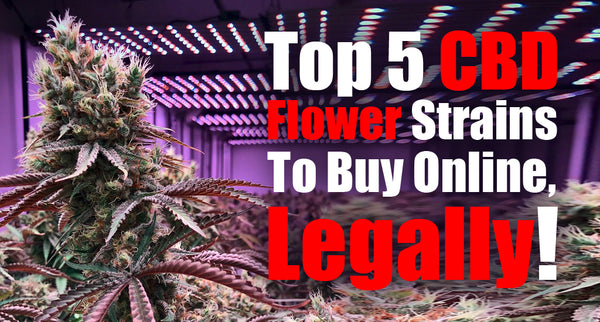 Top 5 CBD Flower Strains To Buy Online, Legally!