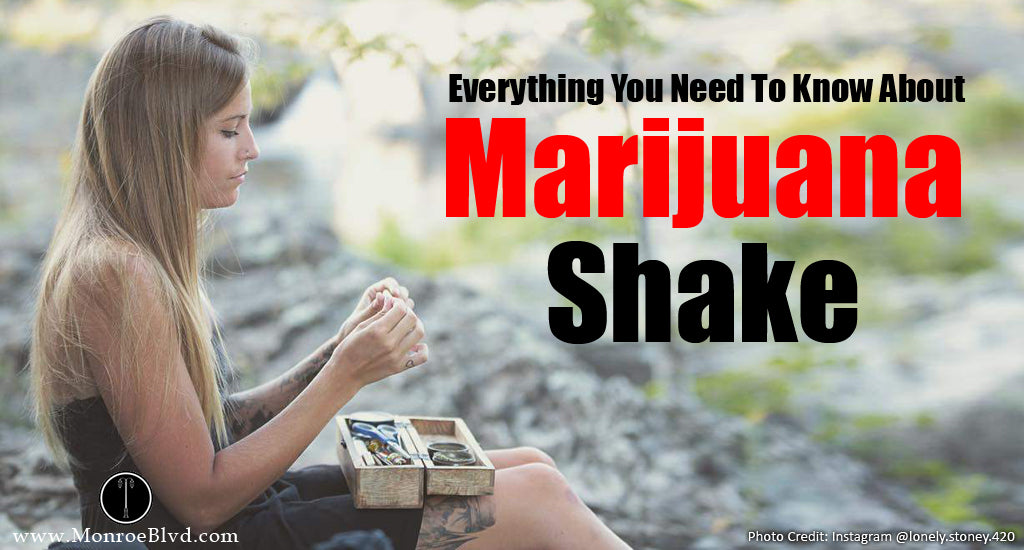 everything-you-need-to-know-about-marijuana-shake-marijuana-cheap-weed