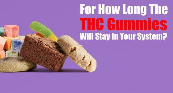 For How Long The THC Gummies Will Stay In Your System?