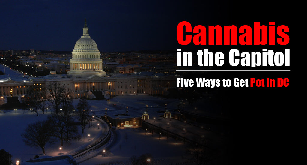 how-to-get-weed-in-washington-dc
