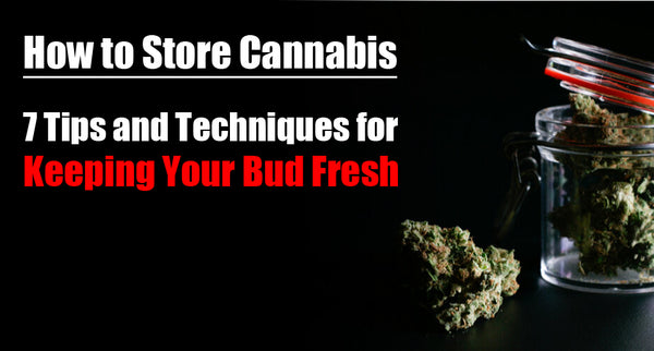 How to Store Cannabis: 7 Tips and Techniques for Keeping Your Bud Fresh