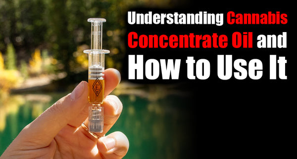 Understanding Cannabis Concentrate Oil and How to Use It