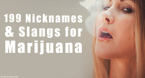 199 Nicknames and Slangs for Marijuana: A Brief Guide