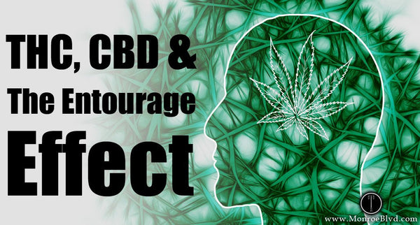 THC and CBD, and the Entourage Effect!