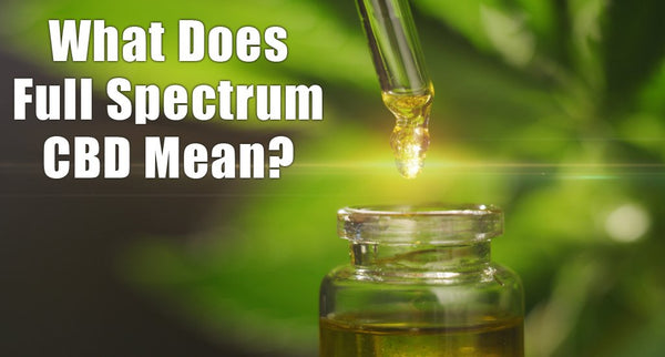 What Does Full Spectrum CBD Mean? Your Guide to Full Spectrum CBD